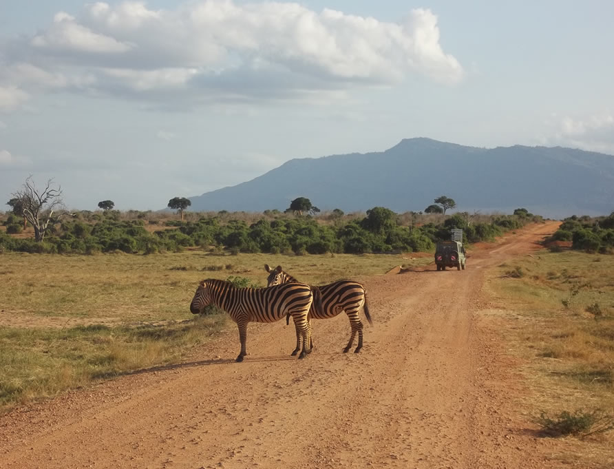 3 Tage Tsavo Ost – Tsavo West